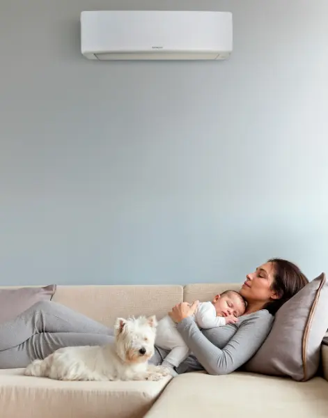 Hitachi Premium Dual Inverter System